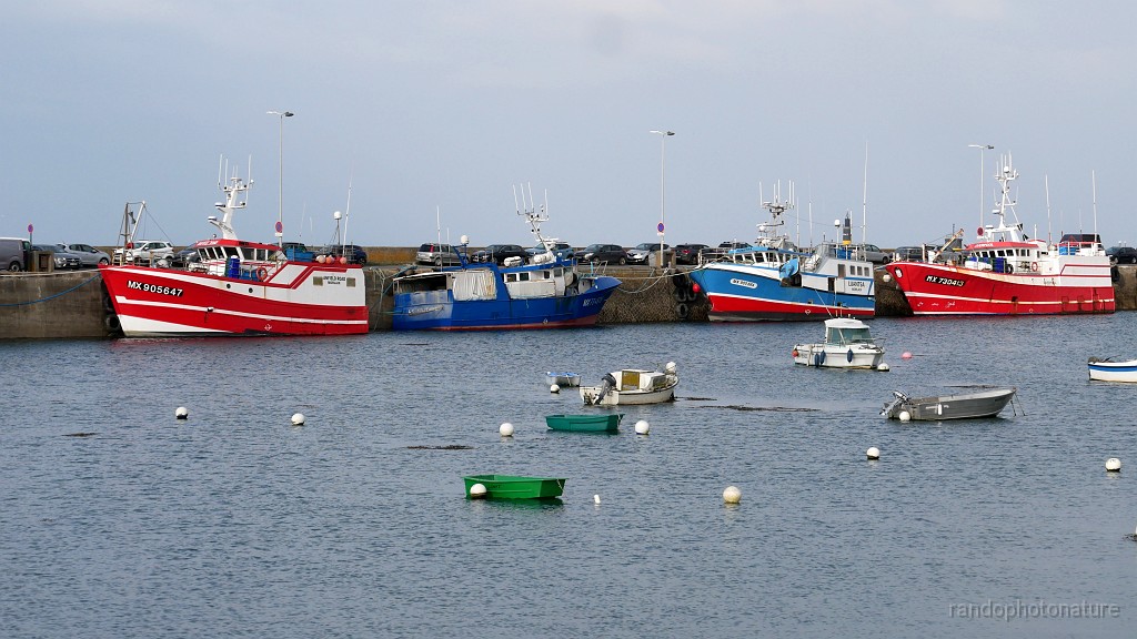 2025-05-01_19h-19m_018.JPG - Roscoff : vieux port à marée haute