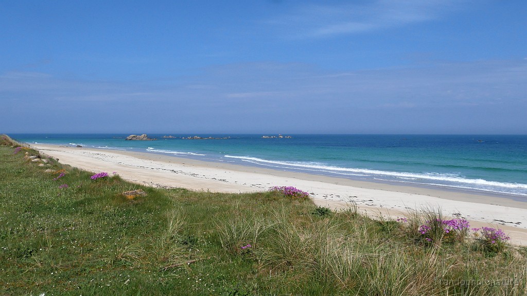 2025-05-03_11h-51m_132.JPG - Plage des Amiets