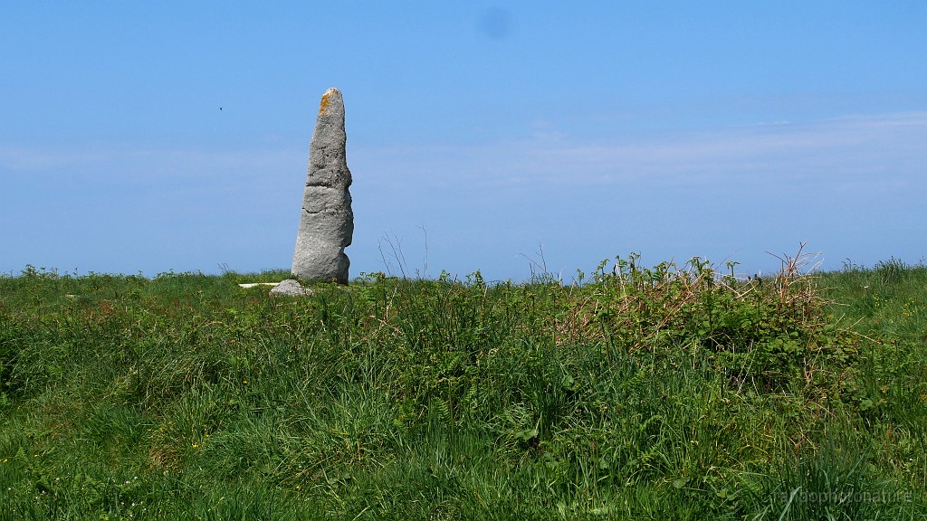 2025-05-03_14h-06m_151.JPG - Menhir de Cam Louis (hauteur 7 m)
