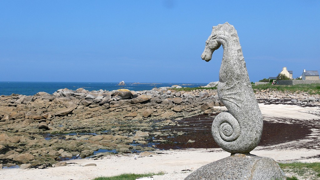 2025-05-03_15h-05m_153.JPG - Plage du village de Porz Ar Streat et son hippocampe