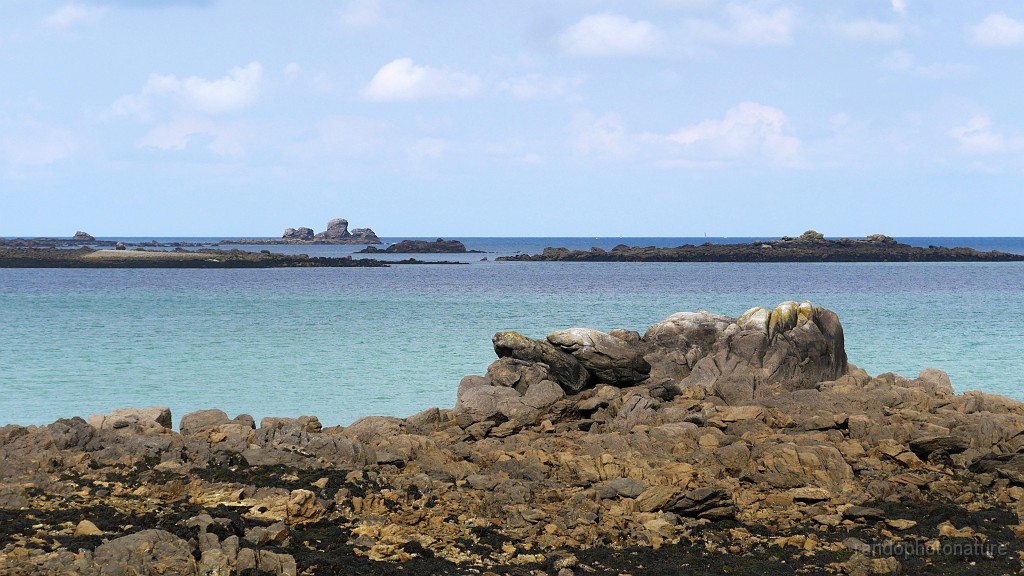 2025-05-08_11h-00m_383.JPG - C'est calme !