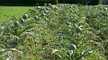 2025-05-02_10h-13m_054