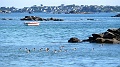 2025-05-02_10h-26m_058