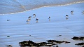 2025-05-02_10h-37m_060
