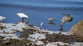 2025-05-02_11h-26m_073