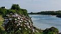 2025-05-03_09h-52m_103