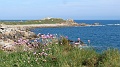 2025-05-03_10h-09m_108