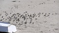 2025-05-03_13h-24m_142
