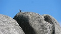 2025-05-04_16h-31m_201