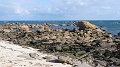 2025-05-05_09h-16m_204