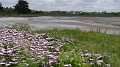 2025-05-05_14h-38m_257