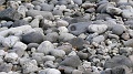 2025-05-06_13h-58m_297