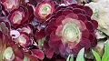 2025-05-07_09h-56m_329