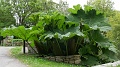 2025-05-07_11h-17m_331