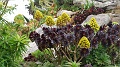 2025-05-08_09h-41m_367
