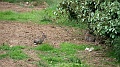 2025-05-08_09h-43m_368