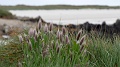 2025-05-08_10h-07m_374