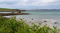 2025-05-08_10h-50m_379