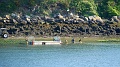 2025-05-09_09h-37m_402