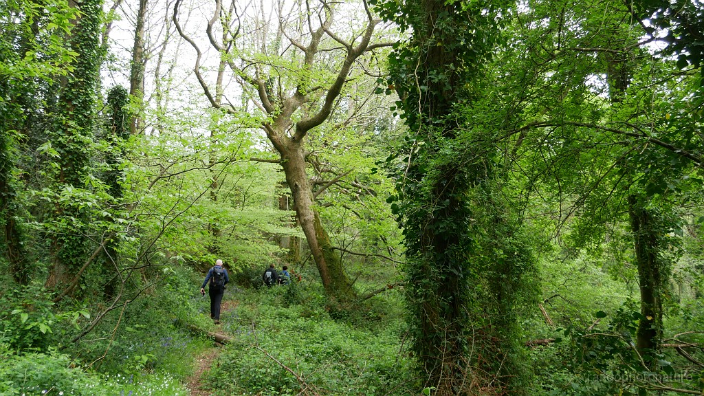 2022-05-02-11h-07m-05s_084.JPG - Dans la campagne silencieuse