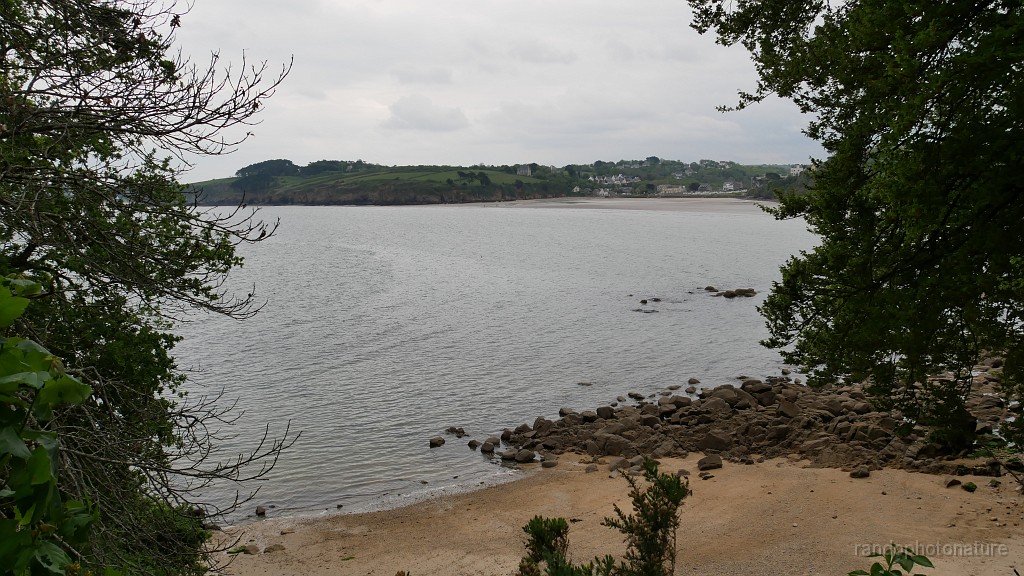 2022-05-02-14h-58m-45s_113.JPG - Douarnenez : plage du Ry