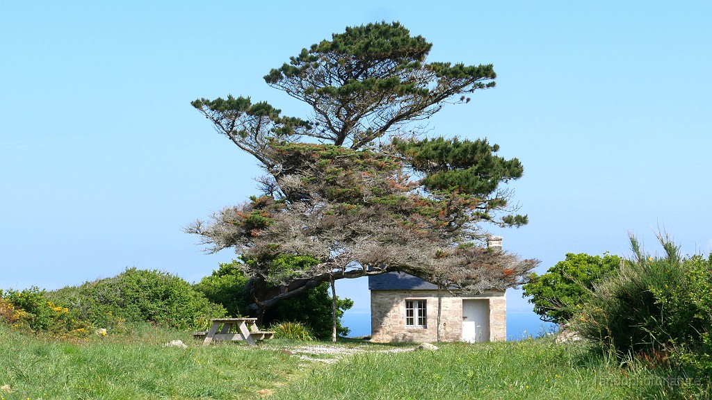 2022-05-04-11h-58m-12s_224.JPG - la cabane de Félix