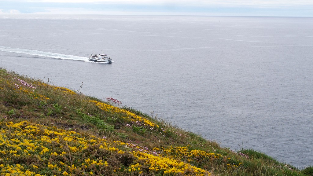 2022-05-05-10h-18m-52s_280.JPG - Transport en commun vers l'île de Sein