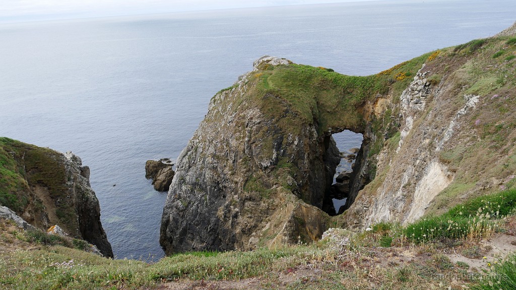 2022-05-05-10h-42m-39s_286.JPG - Arche naturelle