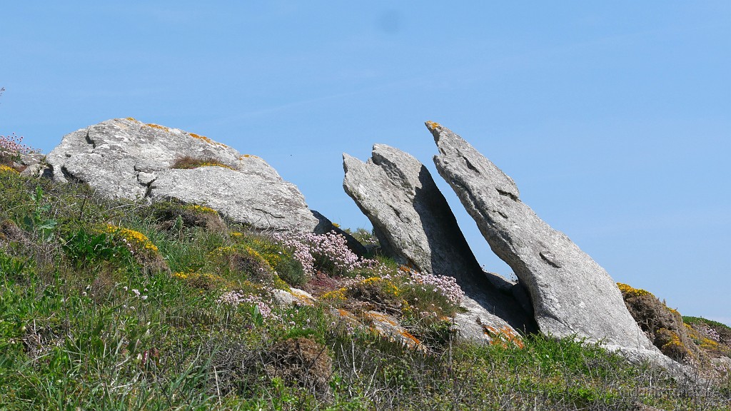 2022-05-06-14h-14m-54s_398.JPG - Sculpture naturelle