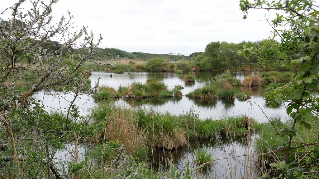 2022-05-07-11h-16m-38s_442.JPG - Etang de Trunvel