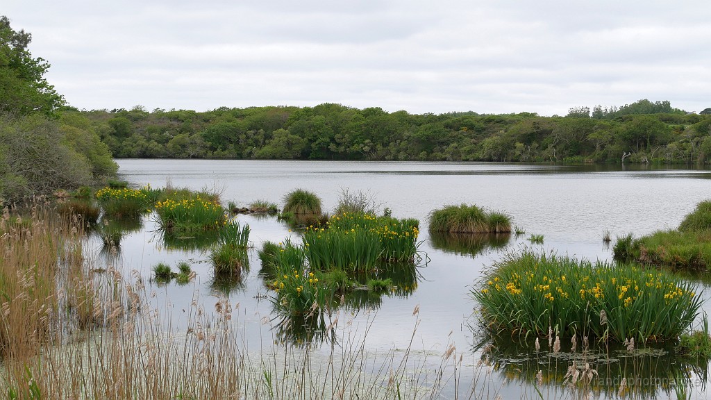 2022-05-07-11h-20m-37s_444.JPG - Etang de Trunvel