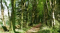 2022-05-01-09h-24m-28s_006