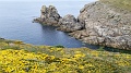 2022-05-05-10h-51m-42s_288