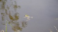 2022-05-05-16h-08m-47s_324
