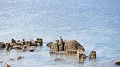 2022-05-06-11h-15m-54s_365