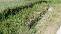 2022-05-06-11h-40m-17s_368