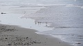 2022-05-07-09h-06m-20s_424