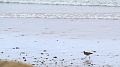 2022-05-07-09h-50m-29s_427