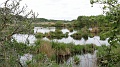 2022-05-07-11h-16m-38s_442