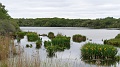 2022-05-07-11h-20m-37s_444