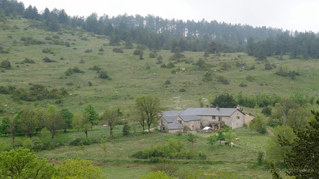 2023-05-21-15h-01m-53s_037.JPG - Ferme de Prunets