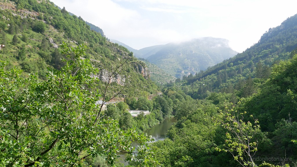 2023-05-22-10h-12m-10s_078.JPG - Les gorges