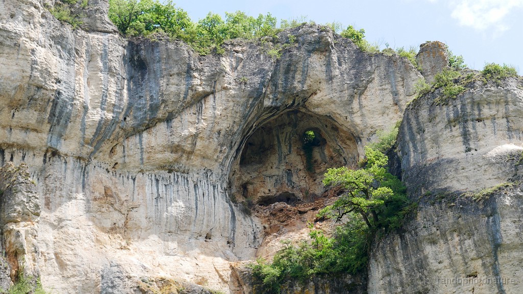 2023-05-22-13h-21m-44s_119.JPG - Smiley naturel