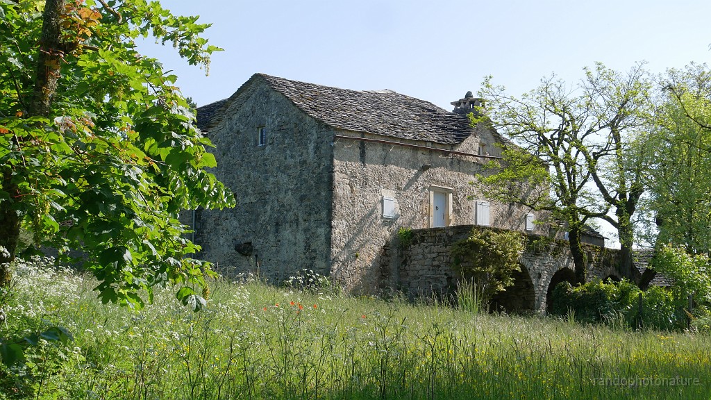2023-05-23-10h-18m-49s_154.JPG - Maison à Rieisse