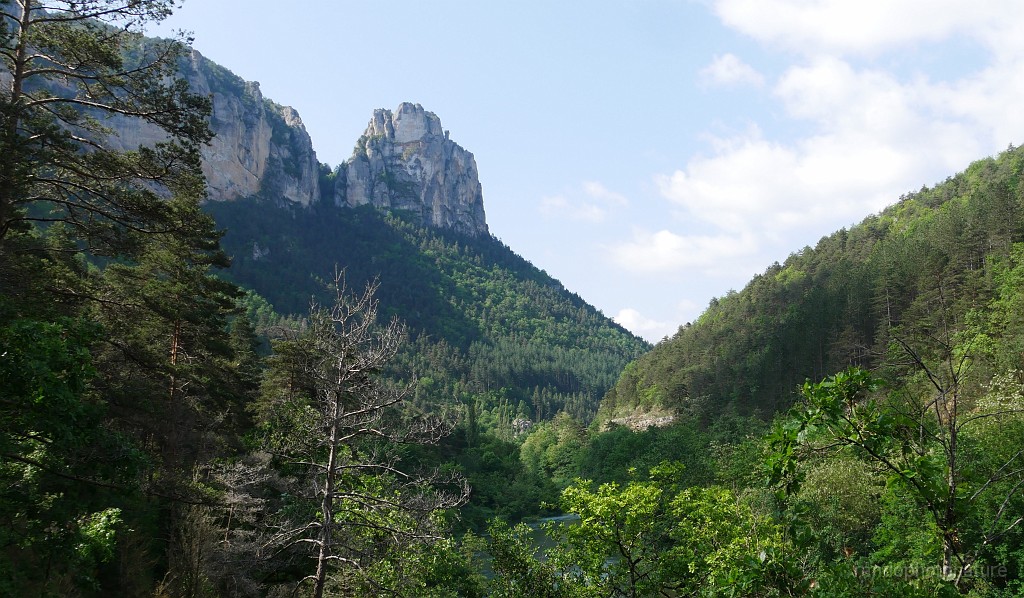 2023-05-24-10h-36m-10s_223.JPG - Le Cinglegros