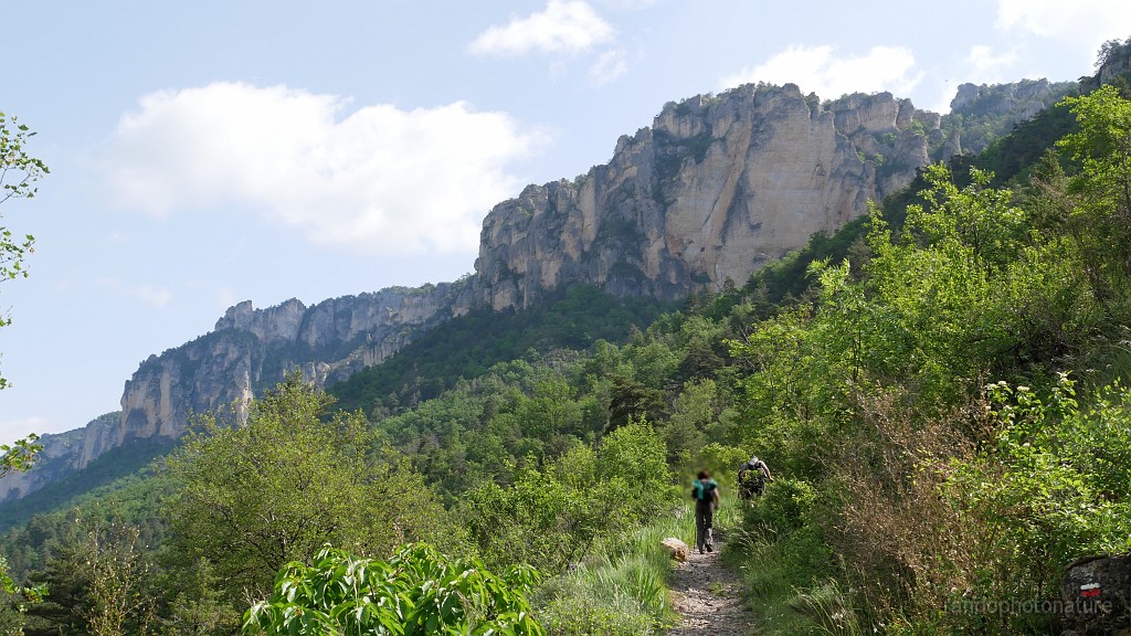 2023-05-24-10h-51m-23s_225.JPG - Sur le sentier