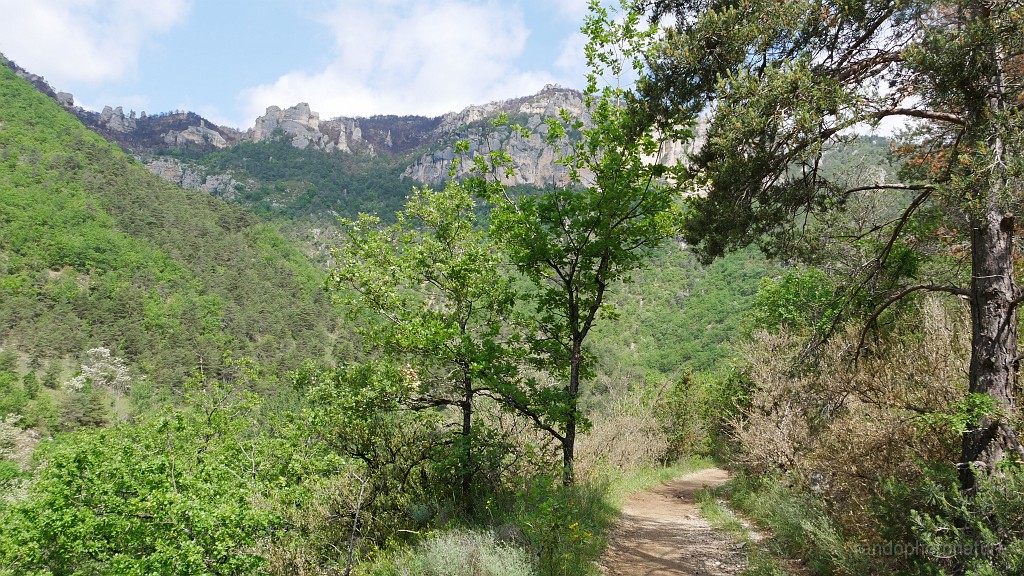 2023-05-24-11h-12m-52s_229.JPG - Le sentier