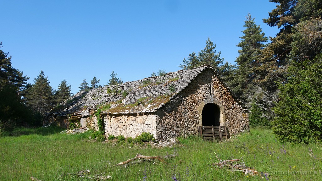 2023-05-25-09h-54m-13s_277.JPG - Ancienne bergerie des Banicous
