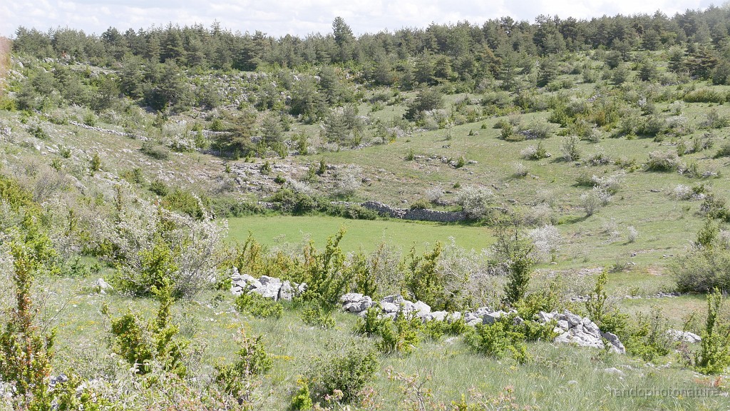 2023-05-26-11h-41m-16s_322.JPG - Des champs de pierre et un sotch