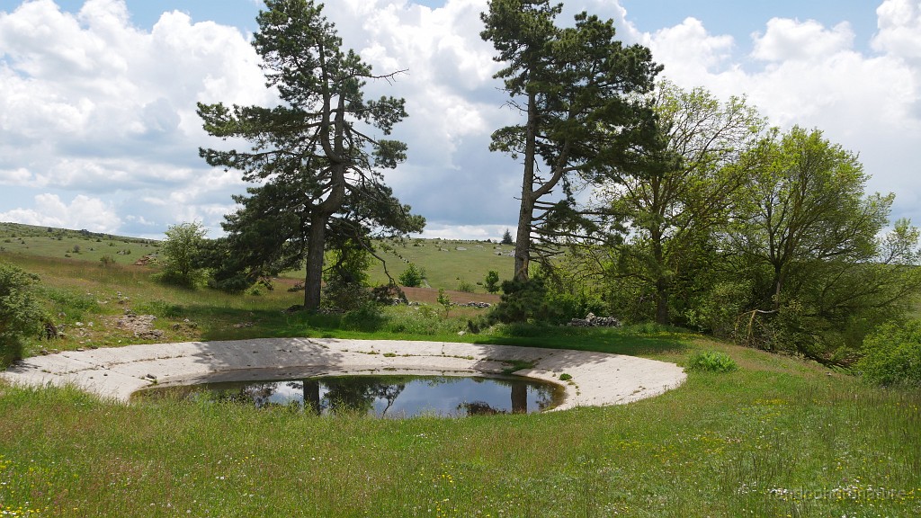 2023-05-26-14h-12m-49s_342.JPG - Lavogne